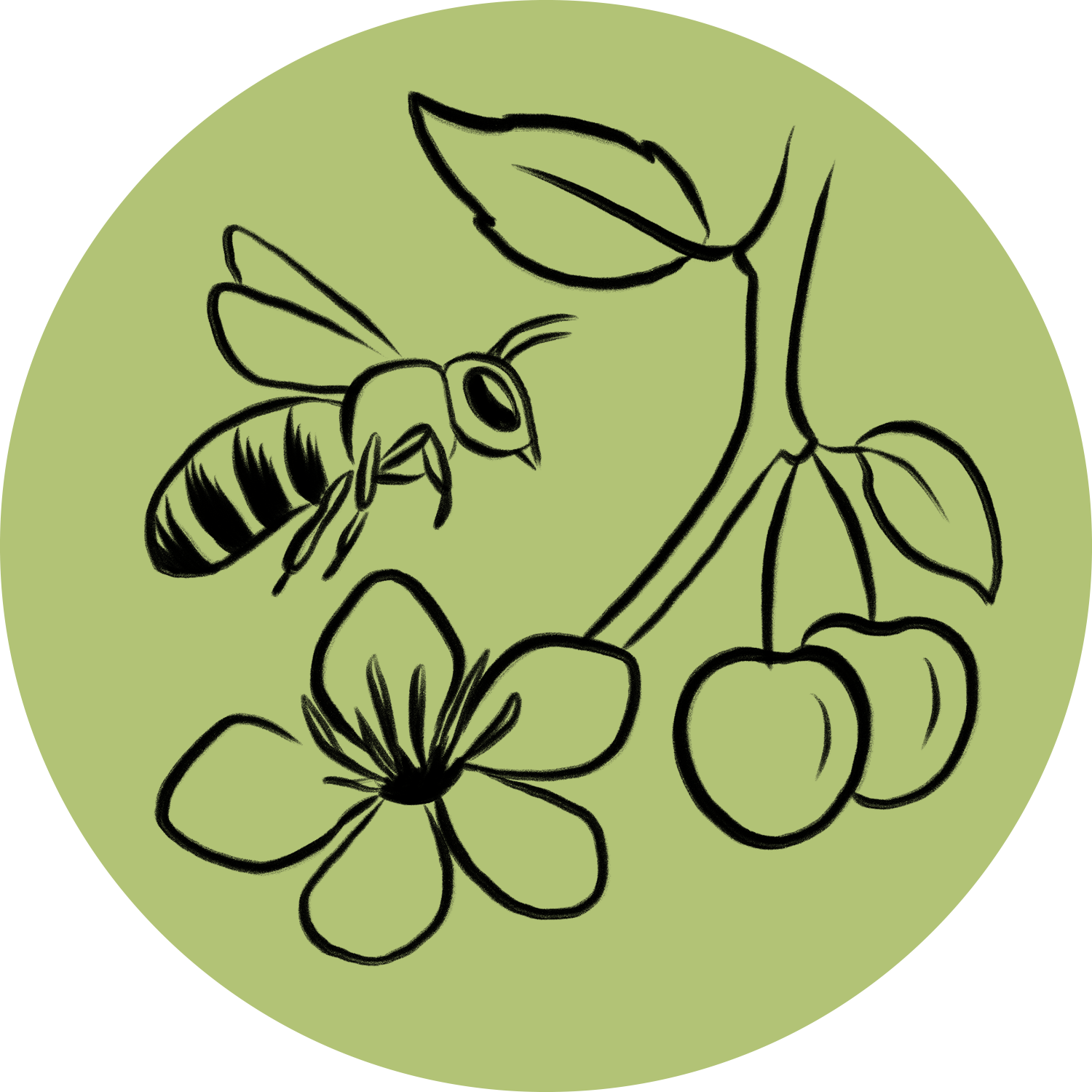 icon biodiversität