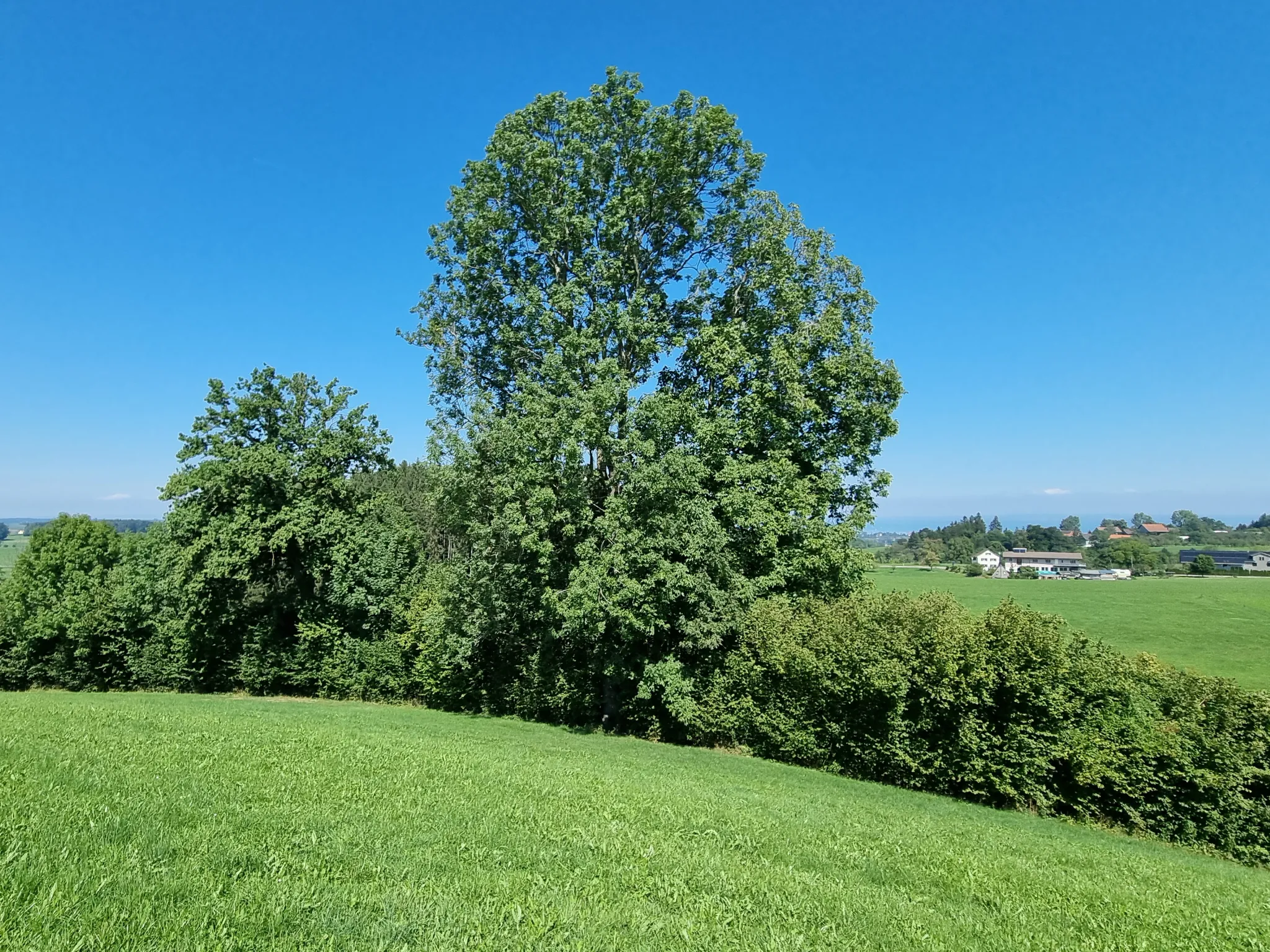 Gemeinde Häggenschwil