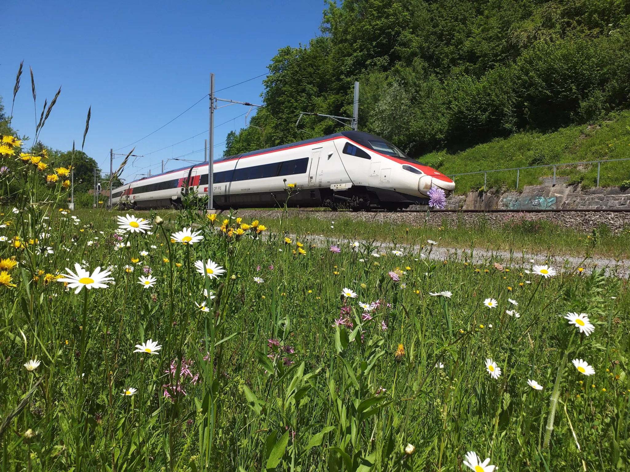 SBB Zug