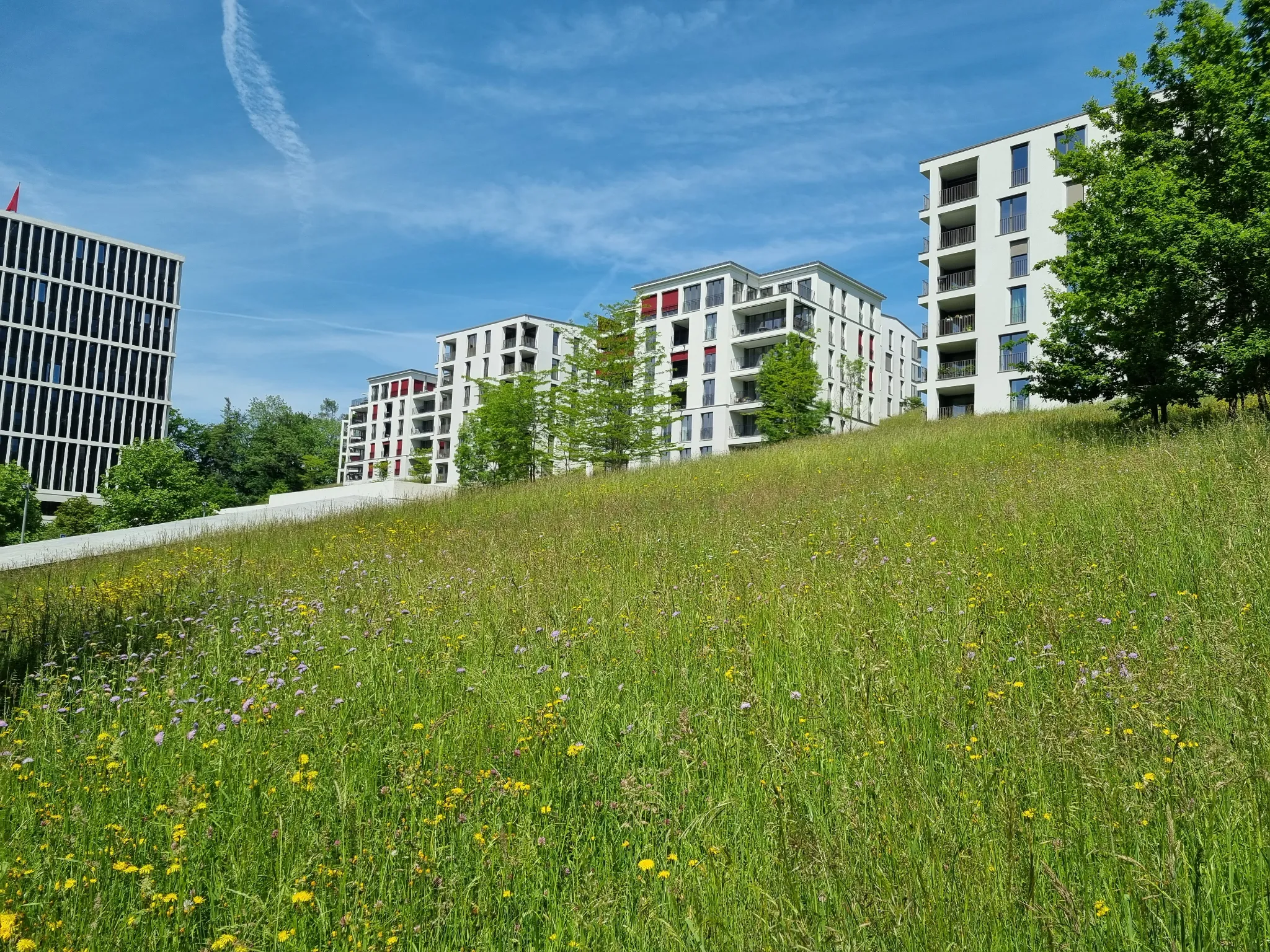 Stadt St.Gallen